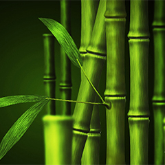 Екстракт бамбука (сухий)