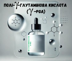 Полі-γ-глутамінова кислота (γ-PGA)